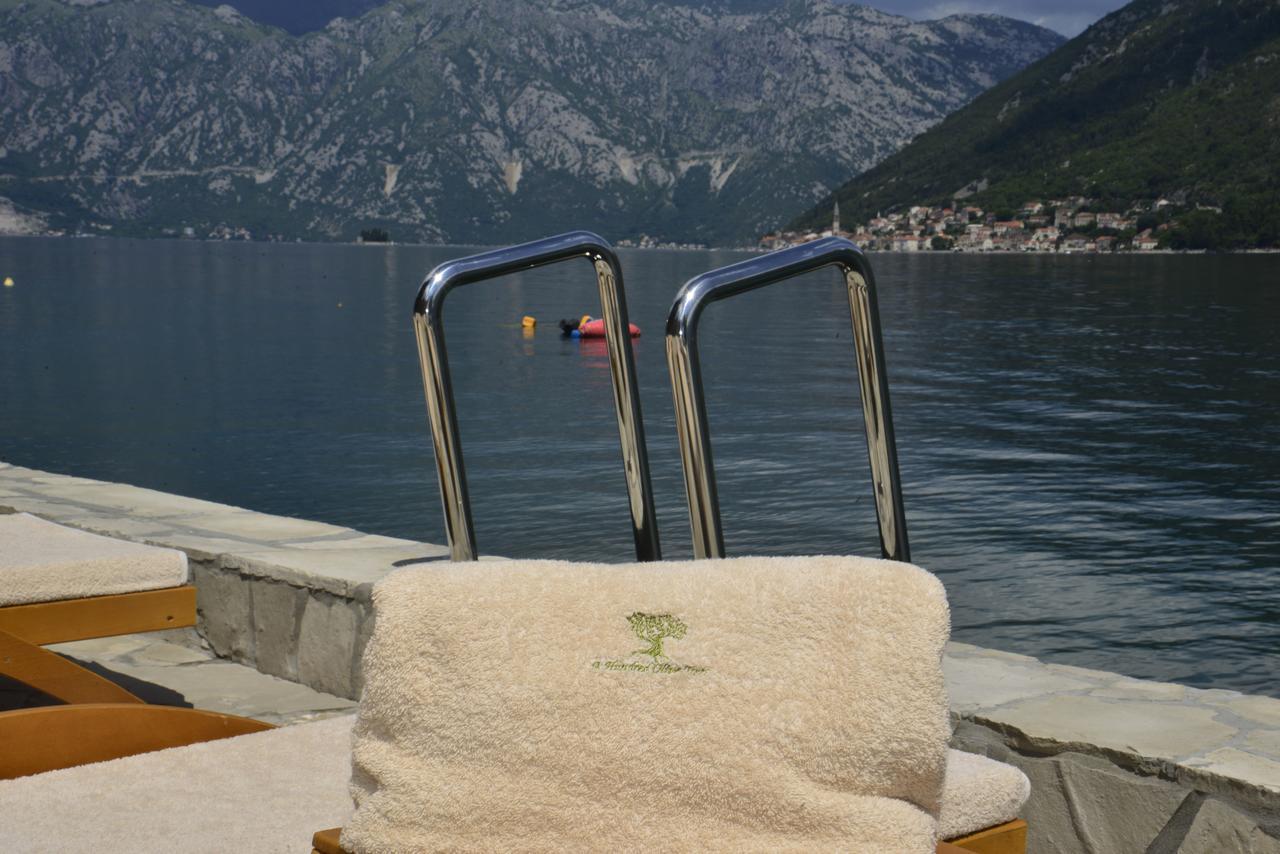 A Hundred Olive Trees Apartments Kotor Exterior photo
